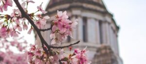 GWP Immigration Attorneys 11 Visa Interviews Abroad Remain At A Stand Still In The New Year
